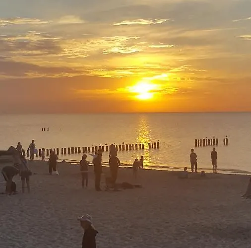 Riwiera 홈스테이 미엘노