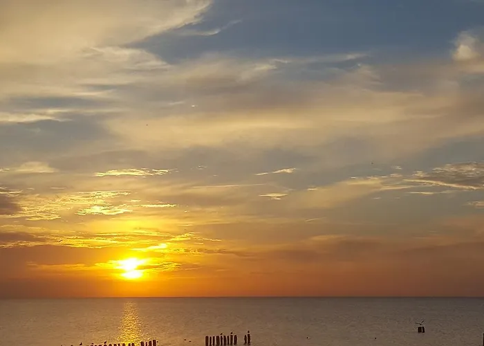 홈스테이 Riwiera 미엘노